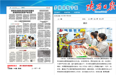 球盟会西北集团珑樾府项目高温慰问——《陕西日报》