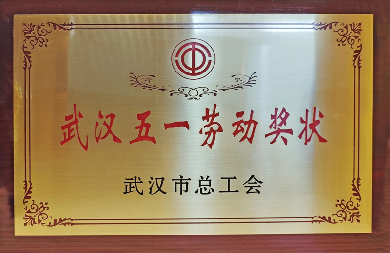 2025年6月，武汉市总工会公布2024年度劳动和技能竞赛获奖名单，球盟会六建荣获